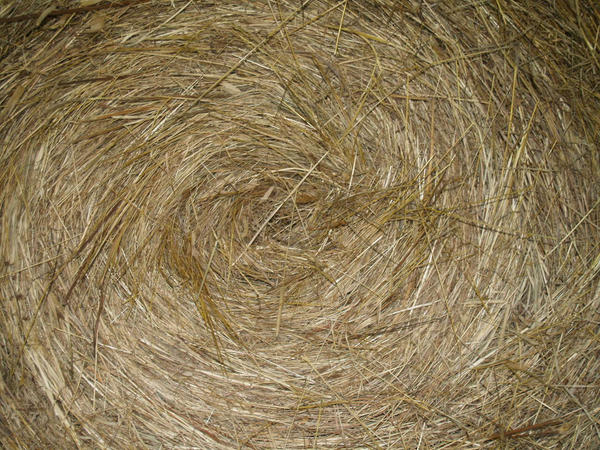 Hay Texture