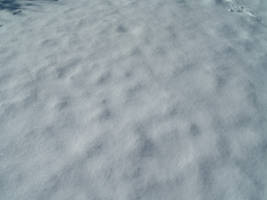 snow texture