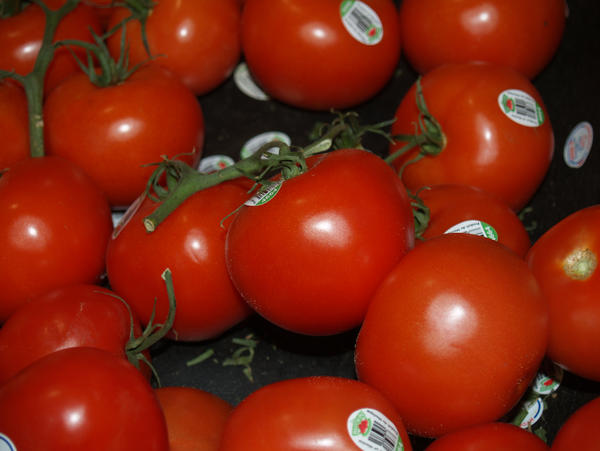 Tomato Stock 2