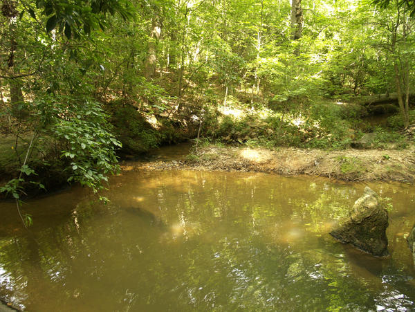 Wide spot in the creek