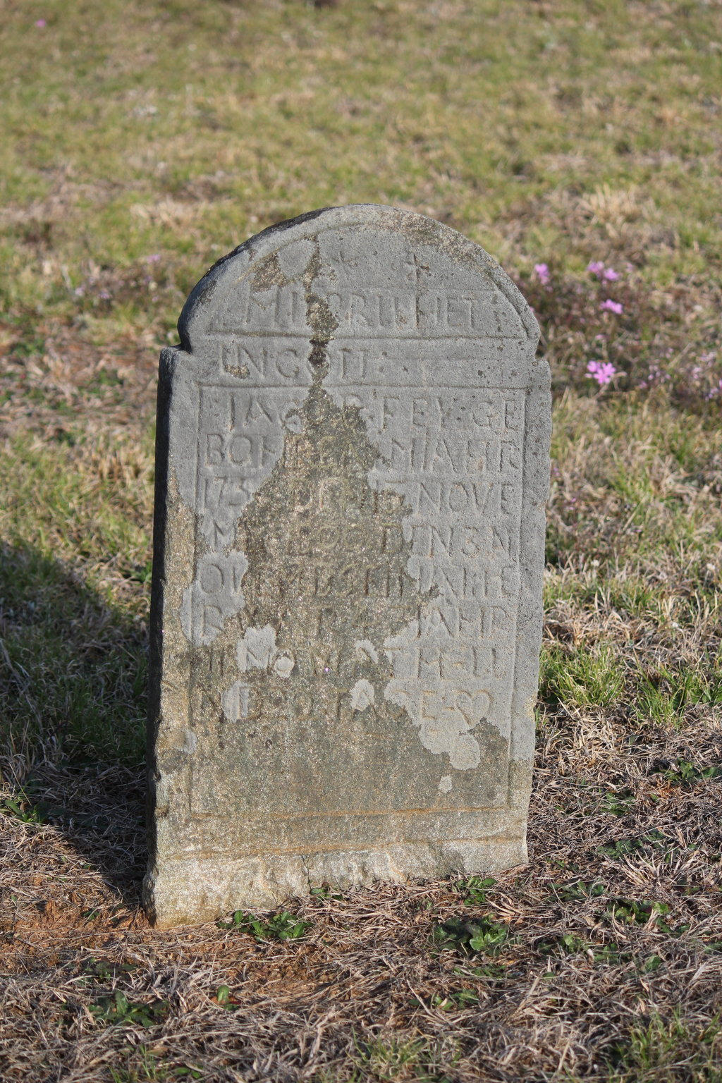 Grave in Spring 1