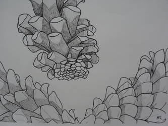 Flippin' Pinecones!!!!