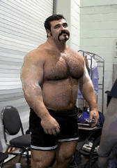 Bear Morph Animation By Dominicrue On DeviantArt bear-morph-animation-by-dominicrue-on-deviantart