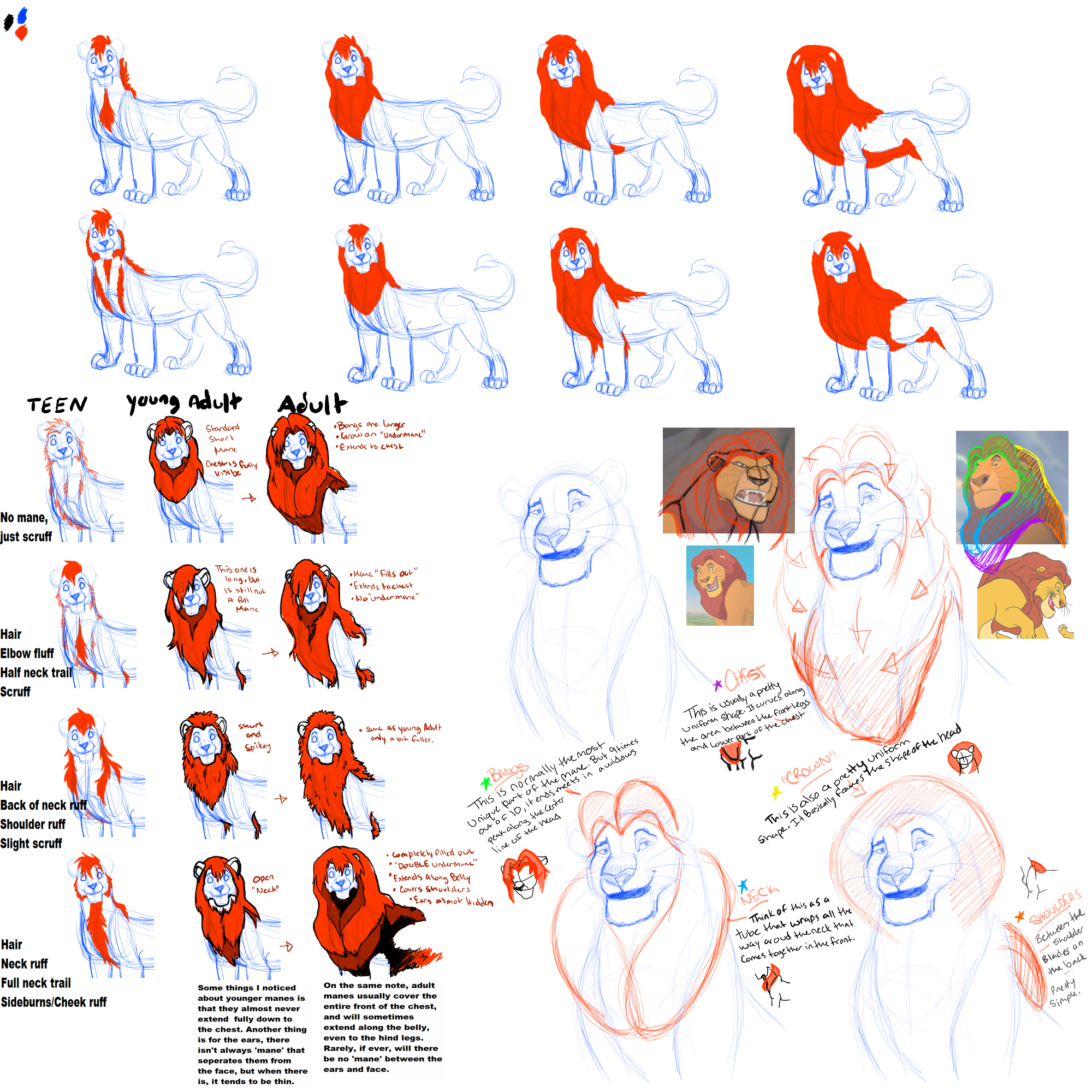 Mane Tutorial part one