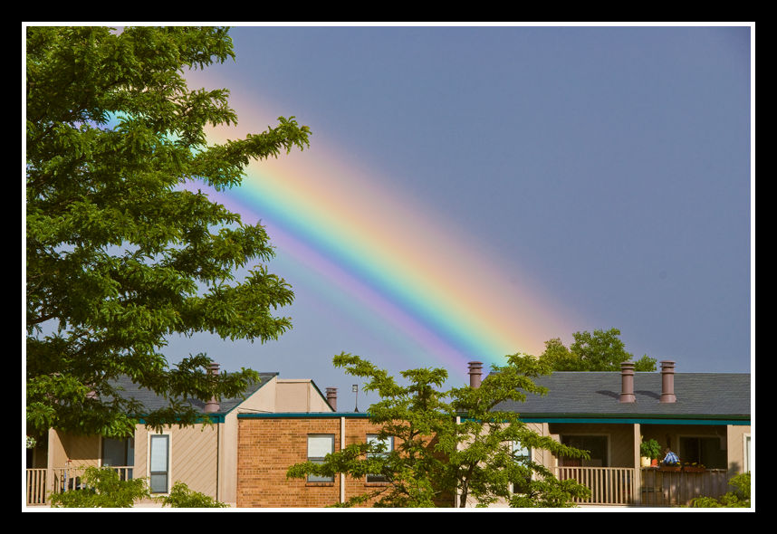 Rainbow WHAT