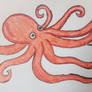 Octopus Drawing