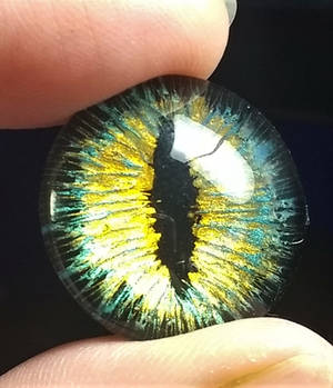 Dragon eye close up