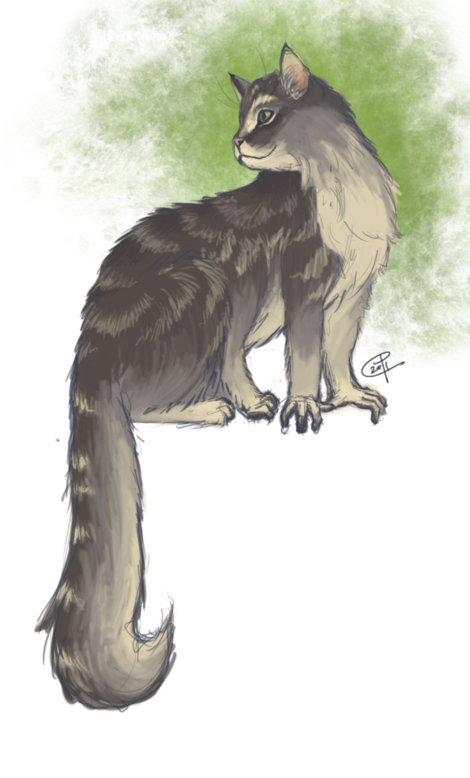 Nimitz the Treecat by Crydwyn
