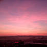 Pink dawn