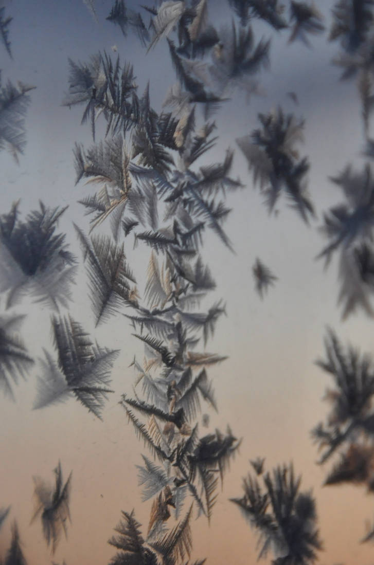 Pattern Onthe Window Pattern On The Window by Autumn64 on DeviantArt