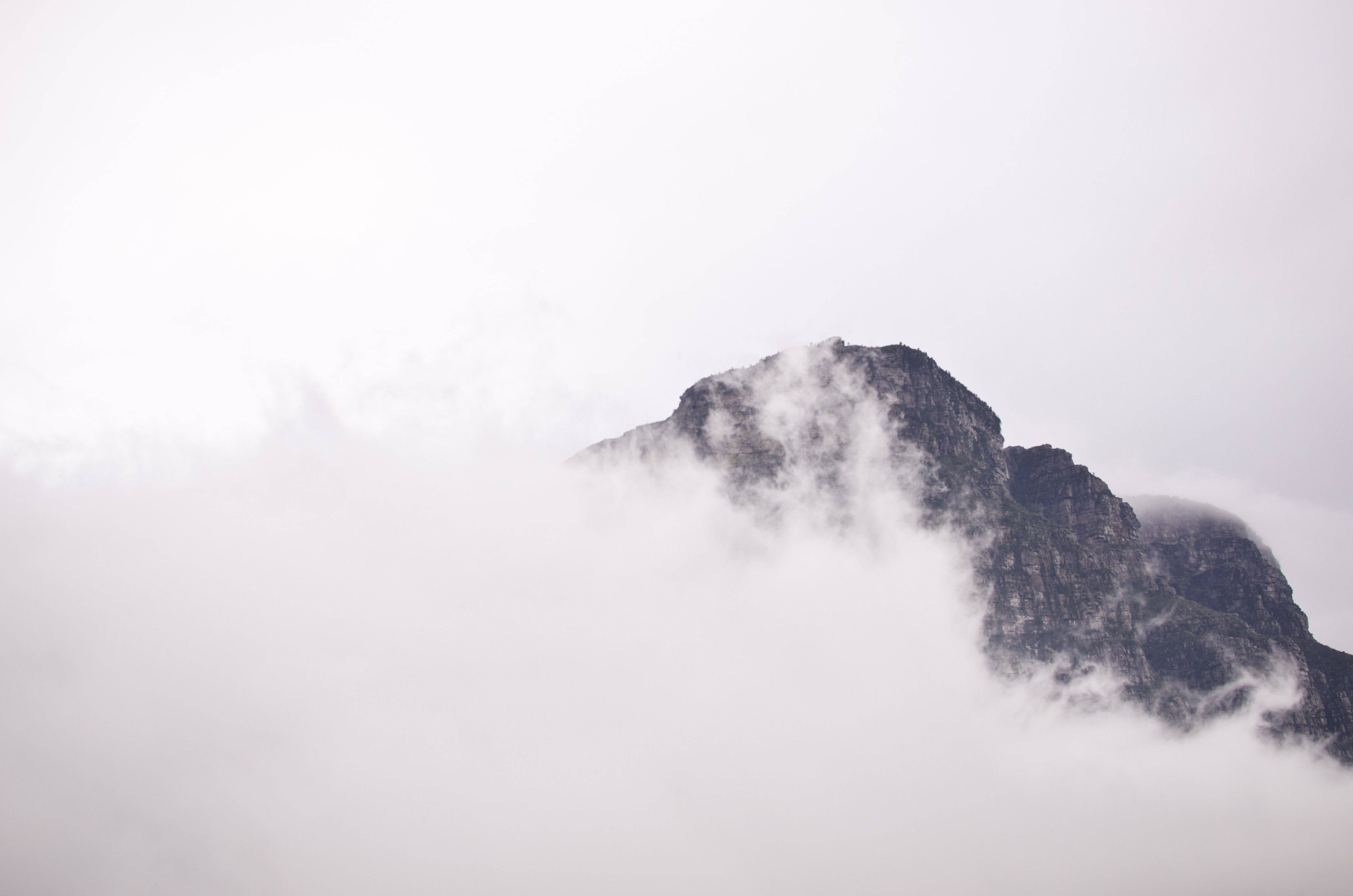 paula-vermeulen- f2m3mEkaaU-unsplash