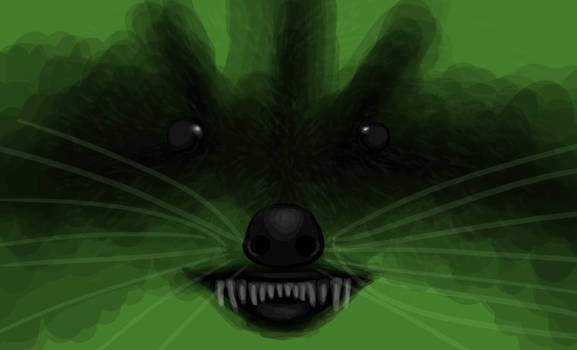 Green Raccoon