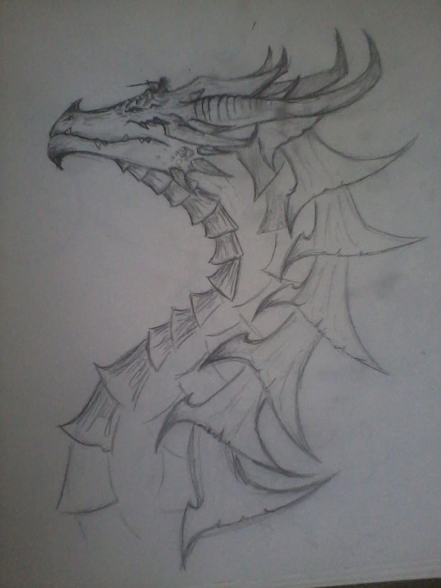 dragon sketch