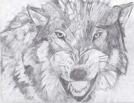 A Wolf