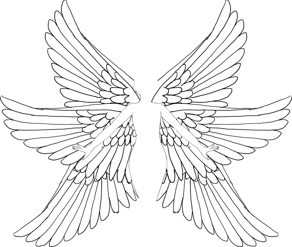 Angel Body Base Drawing at Charli Light blog