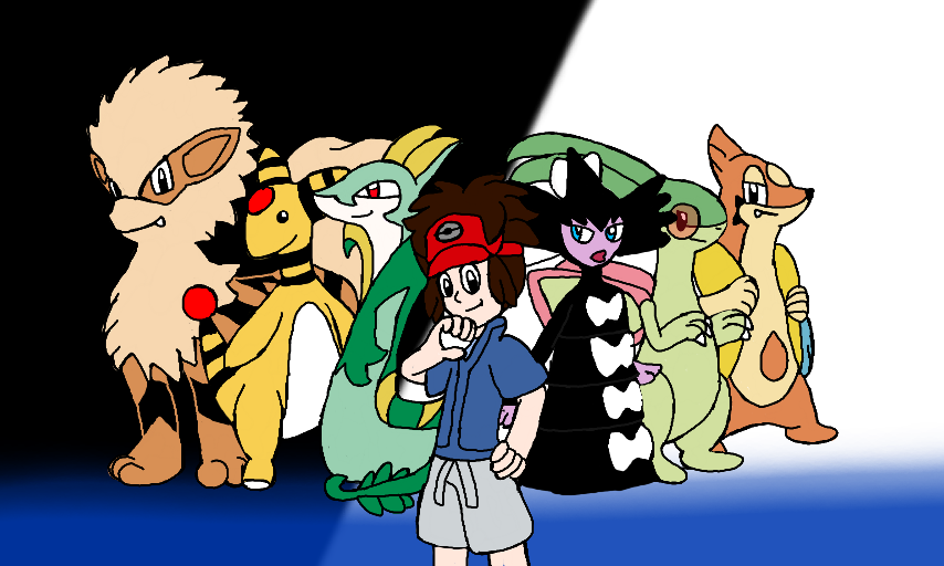 My Pokemon Black 2 team