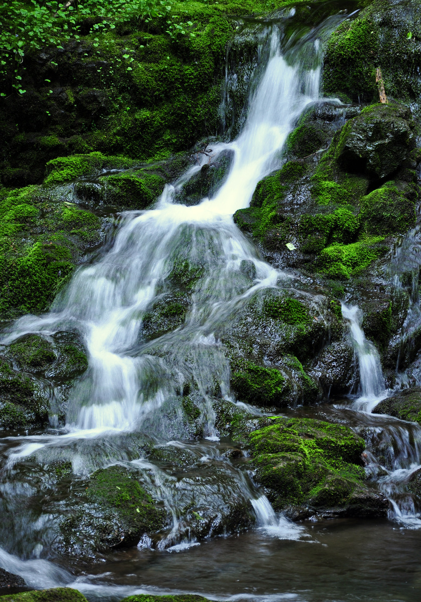 Dickson Falls 2