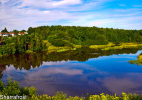 A Beautiful View from Home II