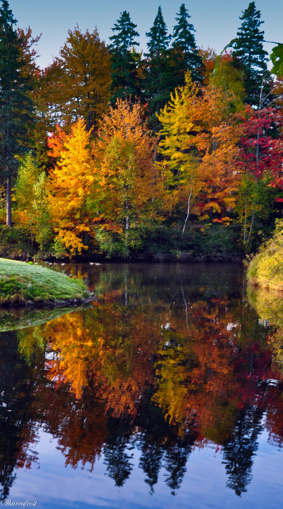 Fall Reflections