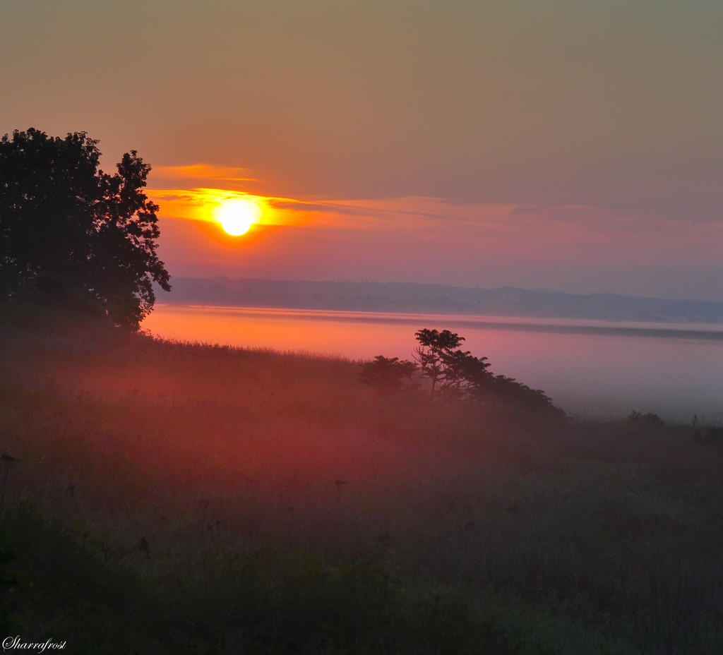 Rising over a Foggy River