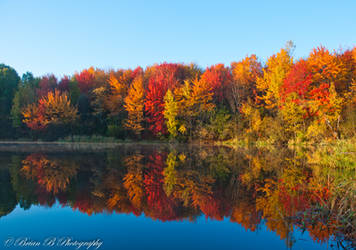 The Splendor of Fall by Brian-B-Photography