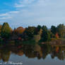 Jones Lake,Moncton 2