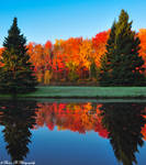 Autumn Symmetry by Brian-B-Photography Autumn Symmetry by Brian-B-Photography