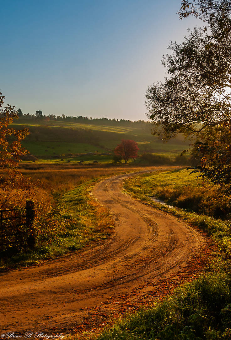 Follow Me by Brian-B-Photography