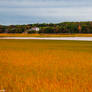 Mulgrave Shore