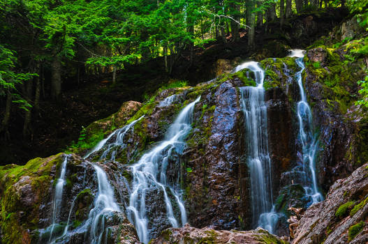 Higgin's Falls