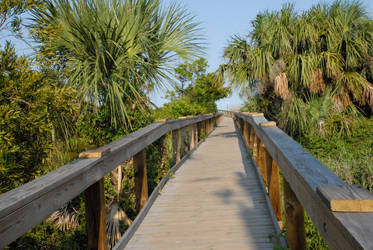 Tybee Island Georgia 05