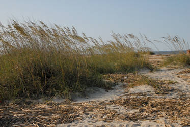 Tybee Island Georgia 06