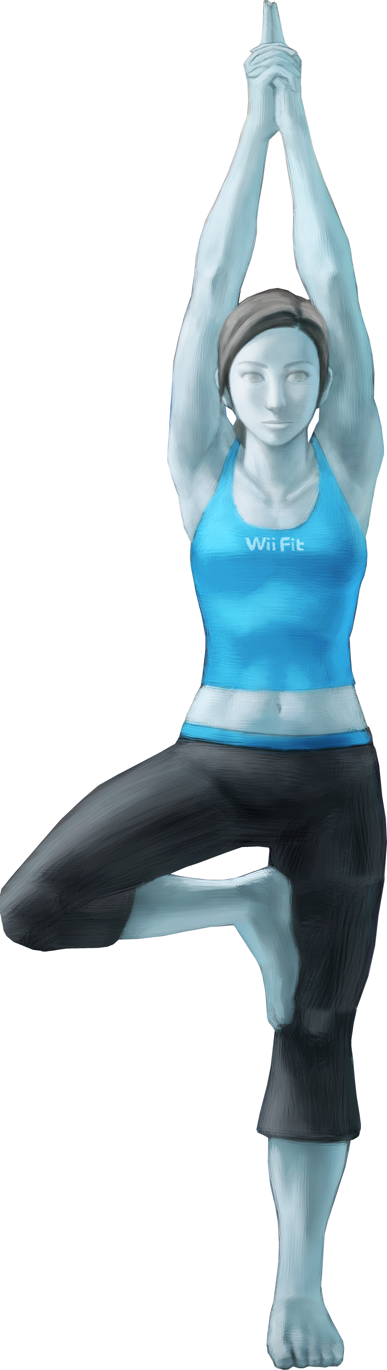 Wii fit smash deals bros