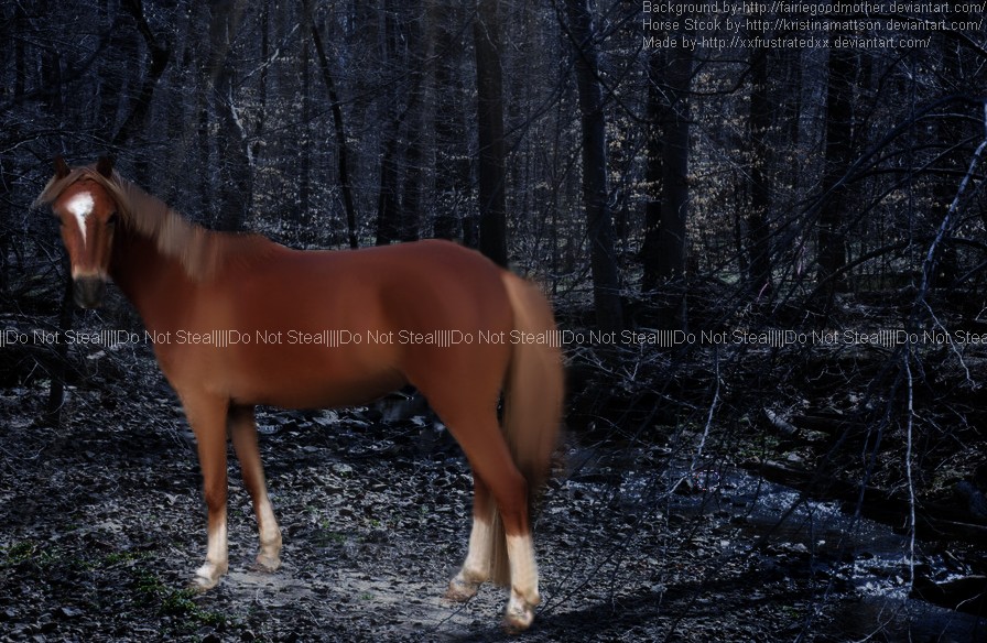 Palomino Horse in the Woods