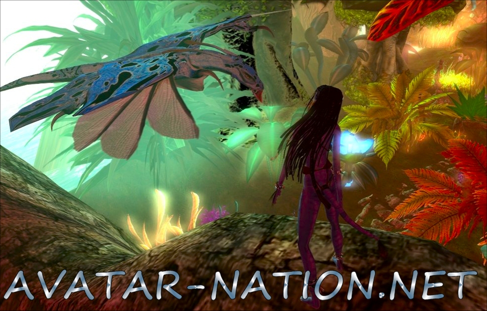 Avatar Nation.Net Banner II