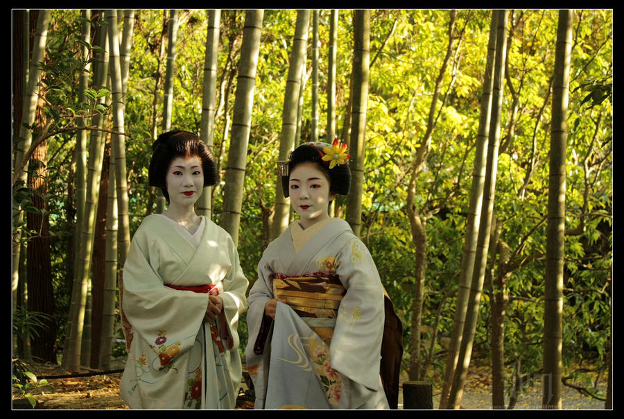 Among the Bamboo :: Toshihana and Toshiteru by DrowElfMorwen