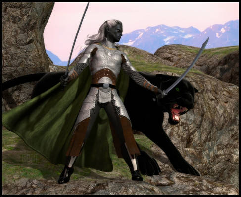 Drizzt and Guenhwyvar