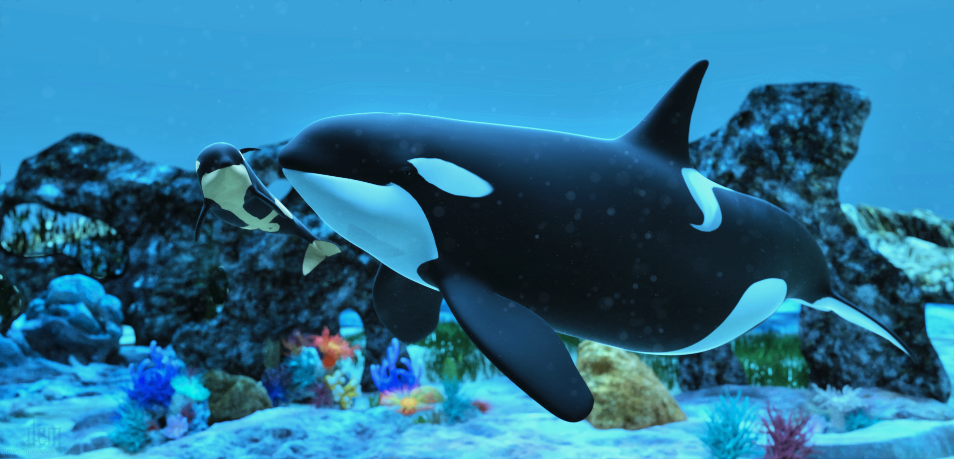 Adhd Orca Interaction :: Orca by DrowElfMorwen on DeviantArt