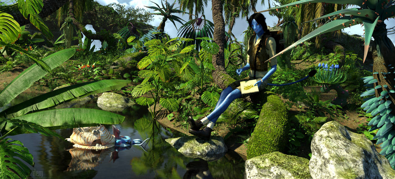Sagittaria Study :: Mo'ara Valley by DrowElfMorwen
