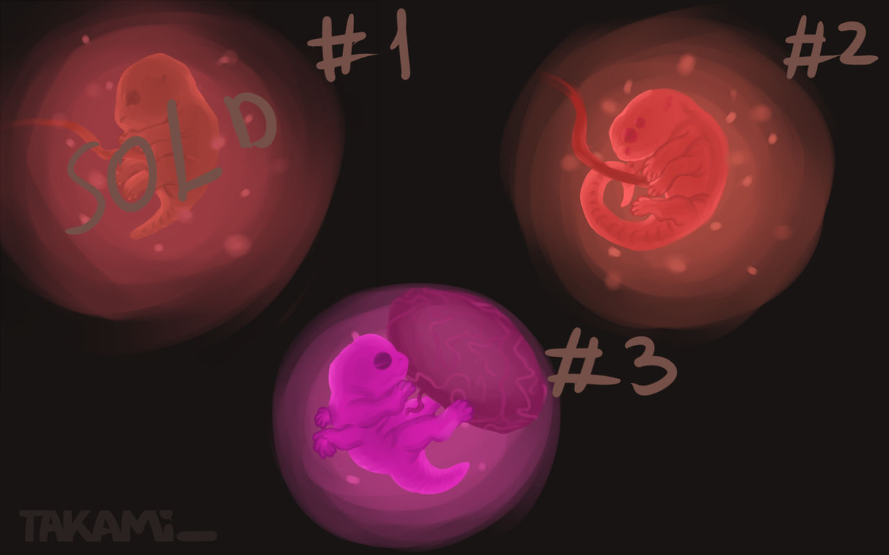 Embryo surprise adopt