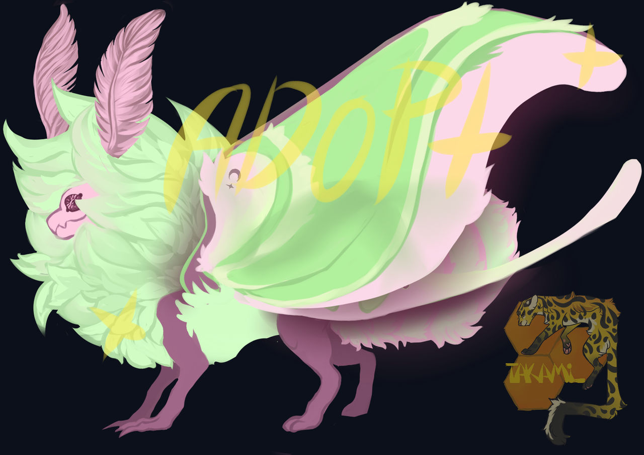 moth ADOPT closed