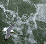 VACATIONS by JACAC VACATIONS by JACAC