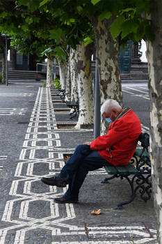 Postcard from Azores Islands 12