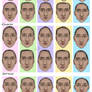 Face Shapes Study