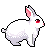 Free Bunny Icon