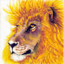 Lion Spirit