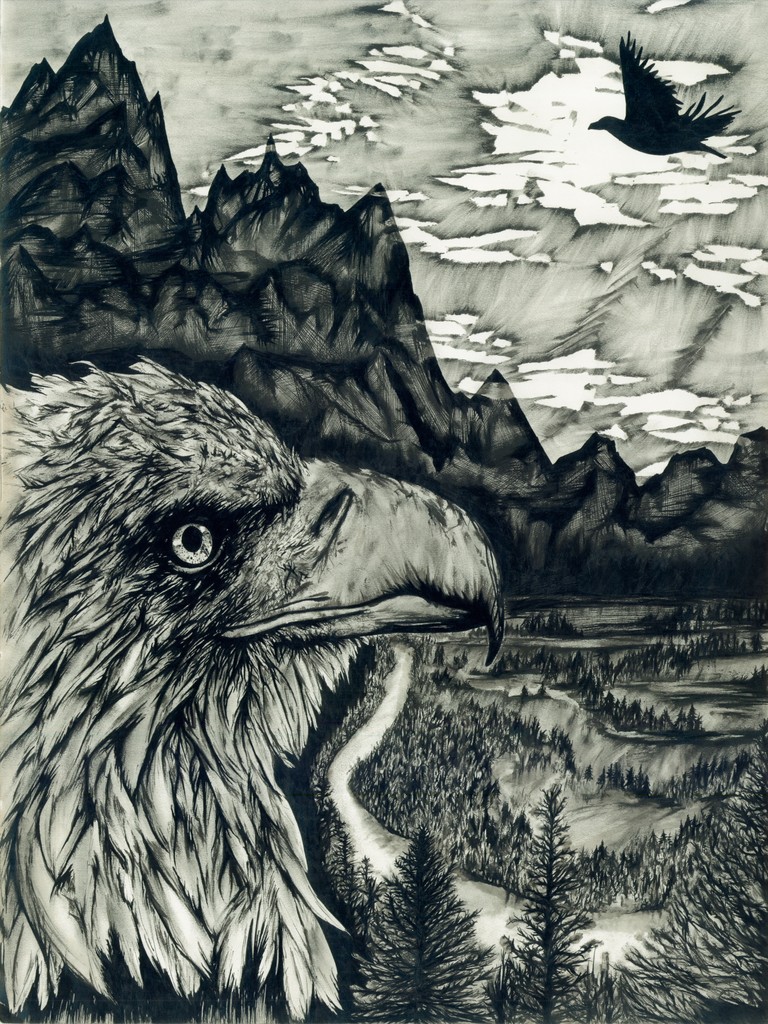 Eagle Contemplation