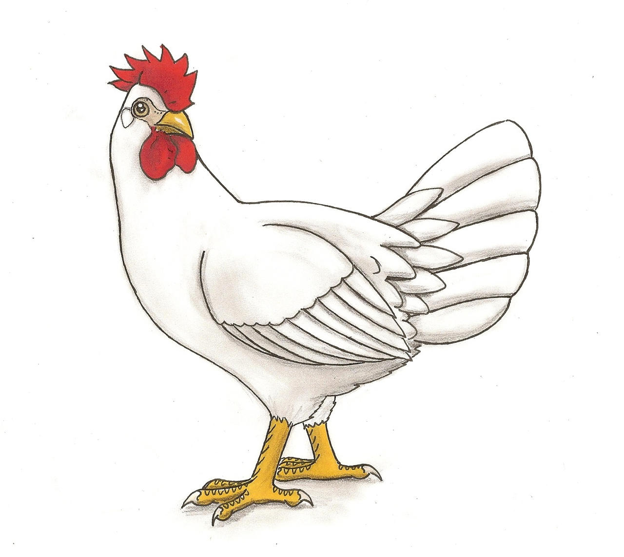 L is for Leghorn