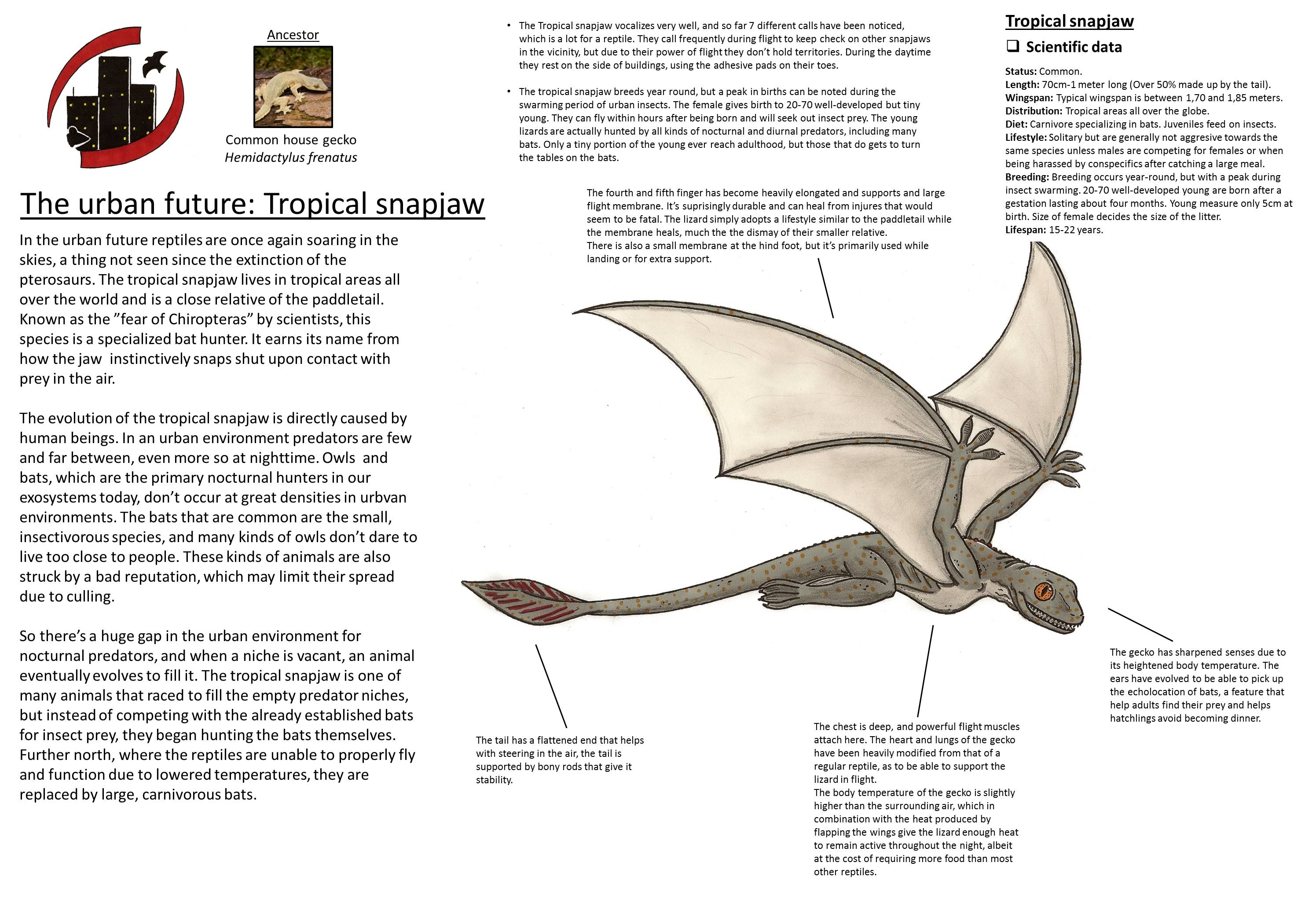Urban future - Tropical snapjaw by herofan135 on DeviantArt