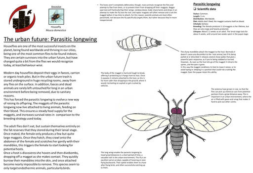 Urban future - Parasitic longwing